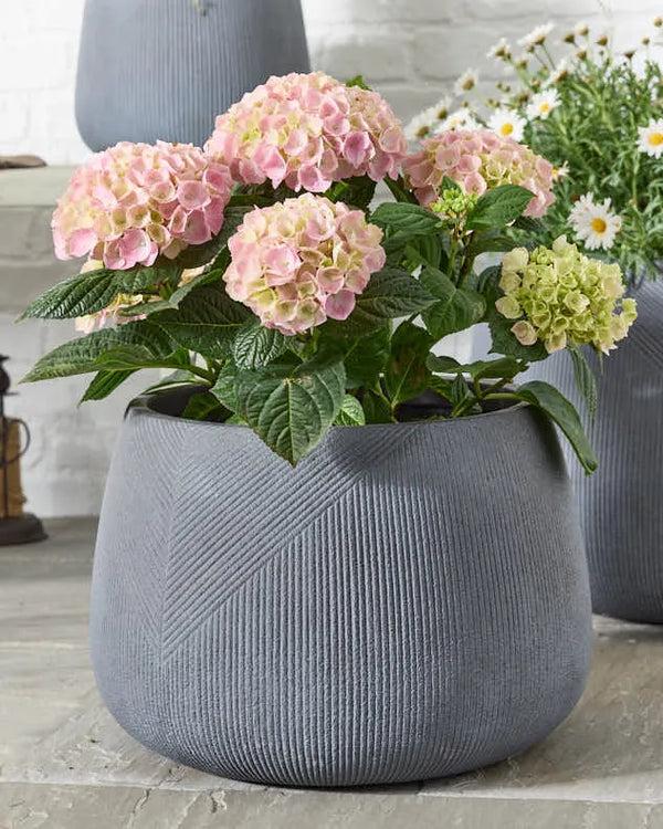 Dibor Silverstone Symmetry Stripe Planter Collection
