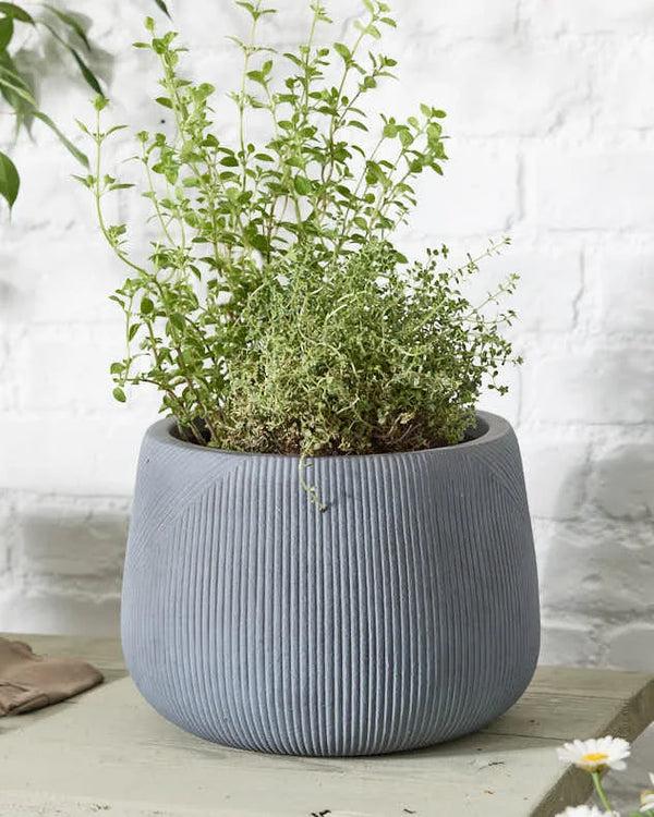 dibor Silverstone Symmetry Stripe Planter Collection