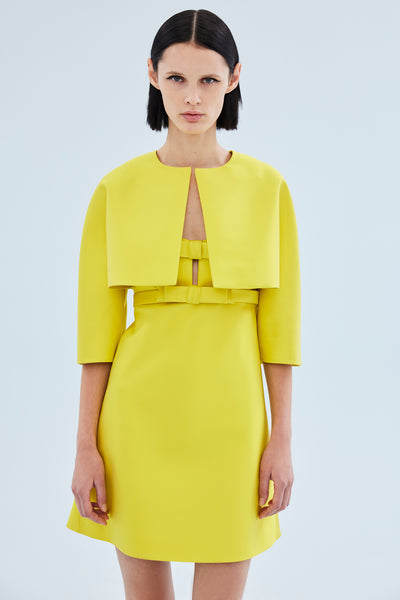 Dice Kayek Cropped Evening Jacket YELLOW