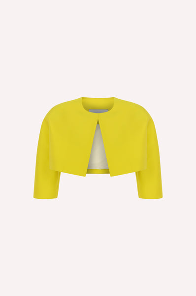 dice kayek Cropped Evening Jacket YELLOW