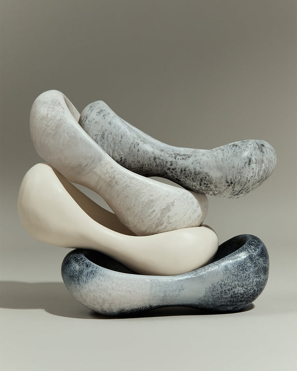 Dinosaur Designs Bones Dish Slate