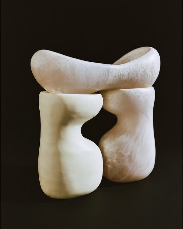 Dinosaur Designs Bones Dish Slate