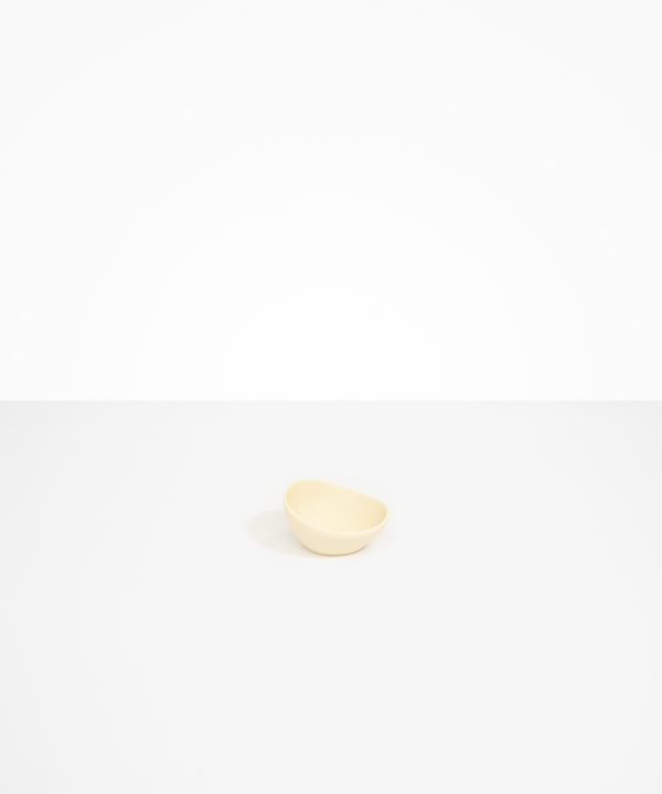 dinosaur designs Flow Spice Dish Cream