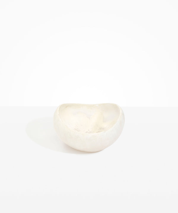 dinosaur designs Large Beetle Bowl Slate