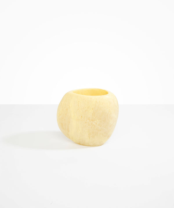 dinosaur designs Large Rock Vase Lychee