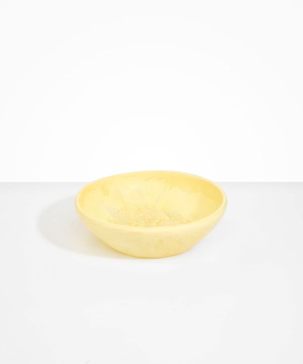 dinosaur designs Large Salad Bowl Snow Swirl