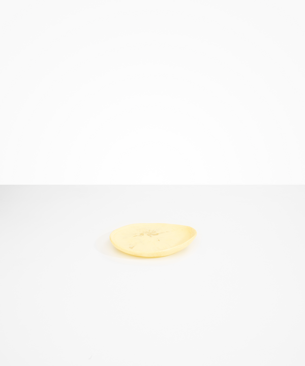 dinosaur designs Pebble Side Plate Cream