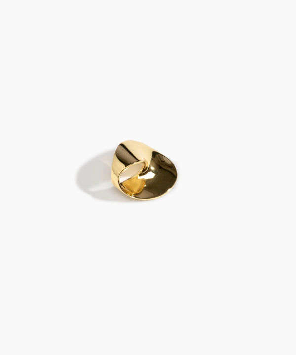 dinosaur designs Small Infinity Ring Nano-Coated Brass