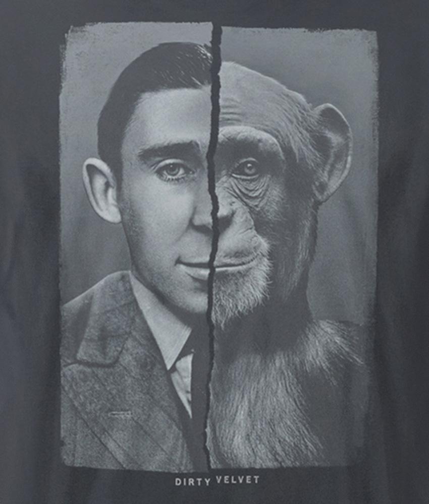 Dirty Velvet Chimpmanzee