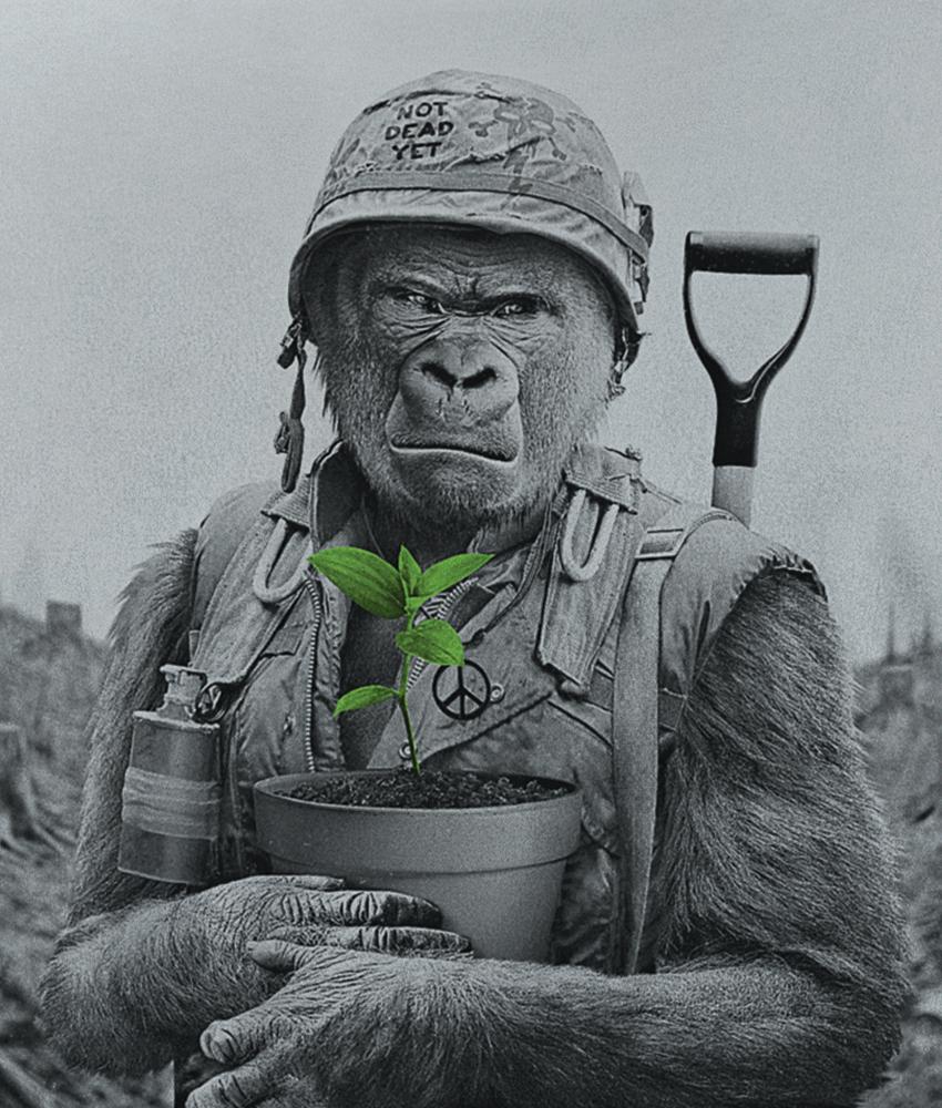 Dirty Velvet Gorilla Warfare