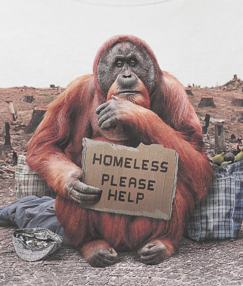 Dirty Velvet Homeless