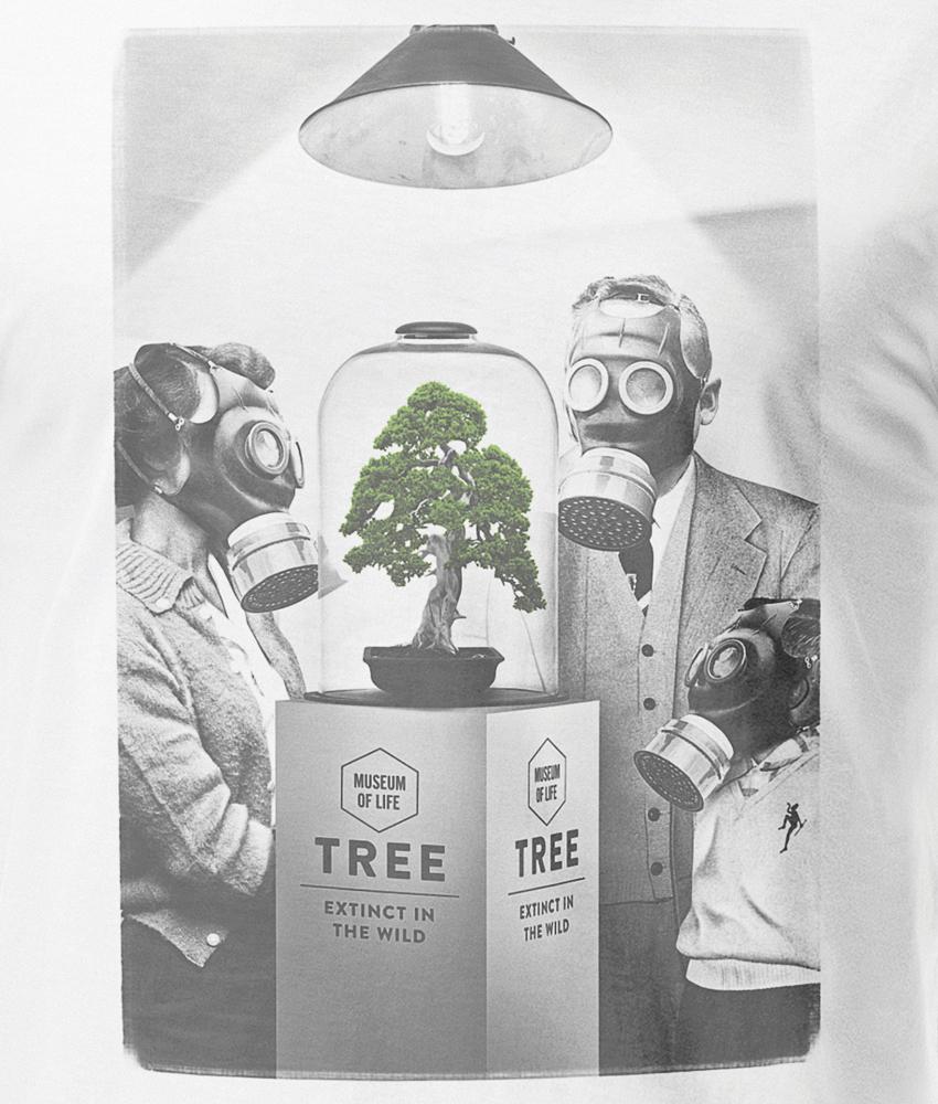 Dirty Velvet Museum Piece