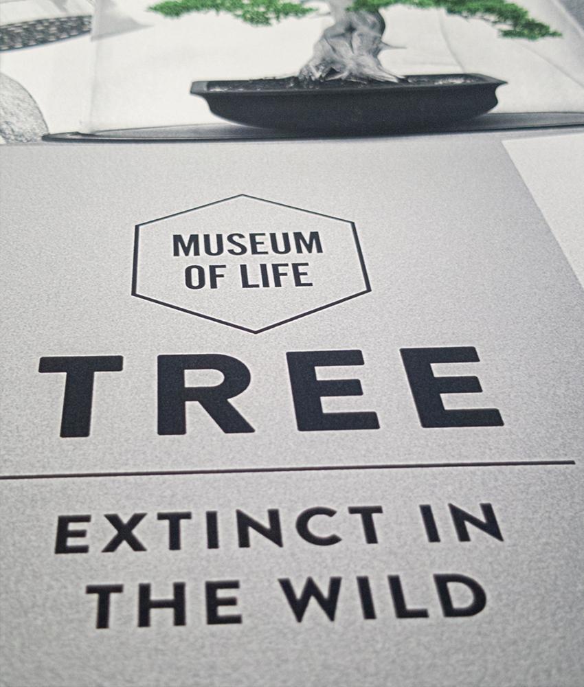 Dirty Velvet Museum Piece Art Print