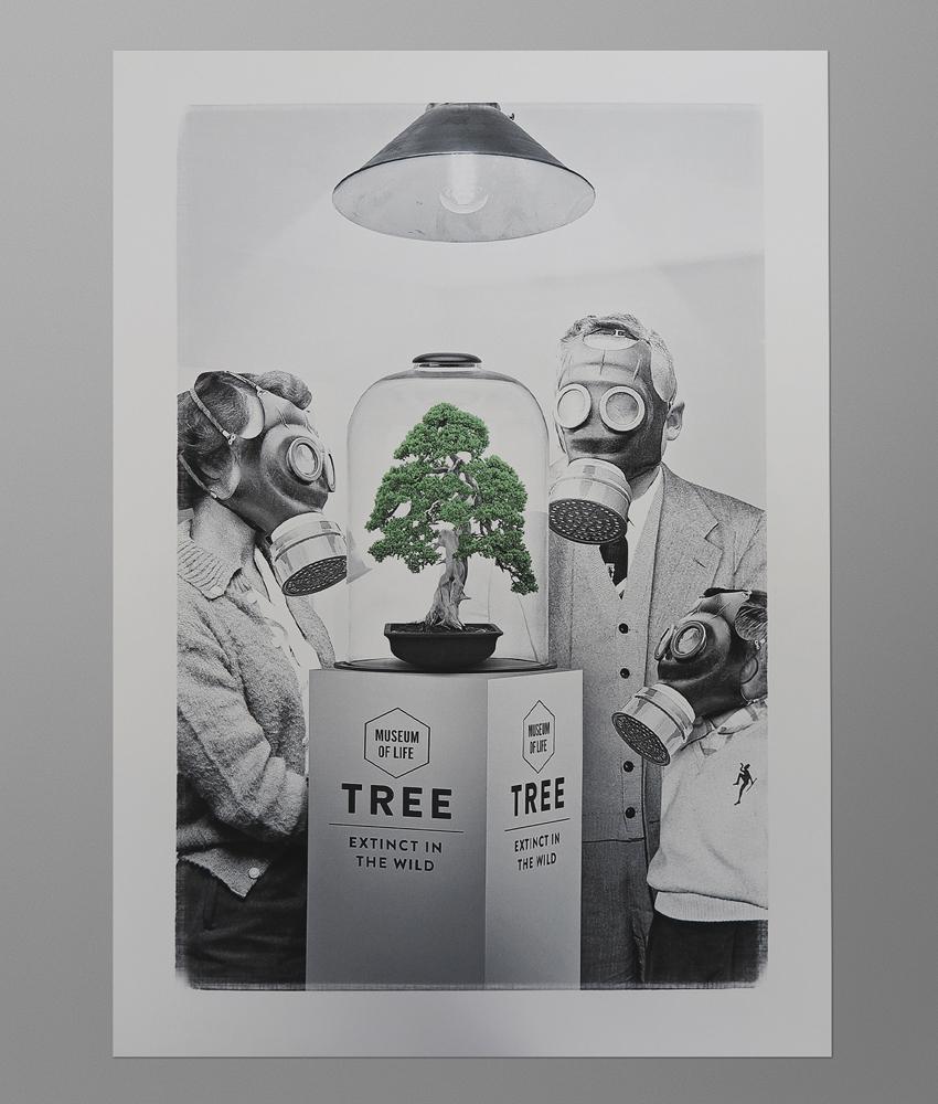 dirty velvet Museum Piece Art Print