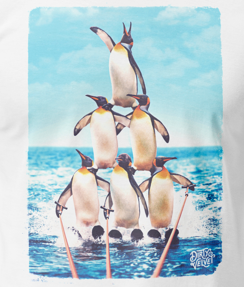 Dirty Velvet Team Antarctic