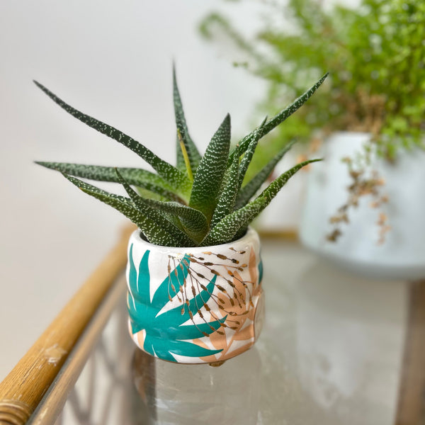 disaster designs Luxe Planter