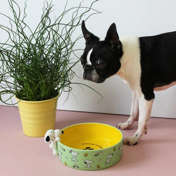 disaster designs Peanuts Dog Bowl