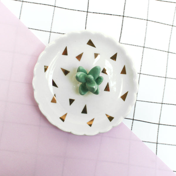 Disaster Designs Urban Succulent Dish