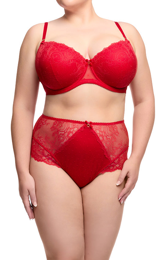 Dita Von Teese Fiamma Full Figure Plunge Bra