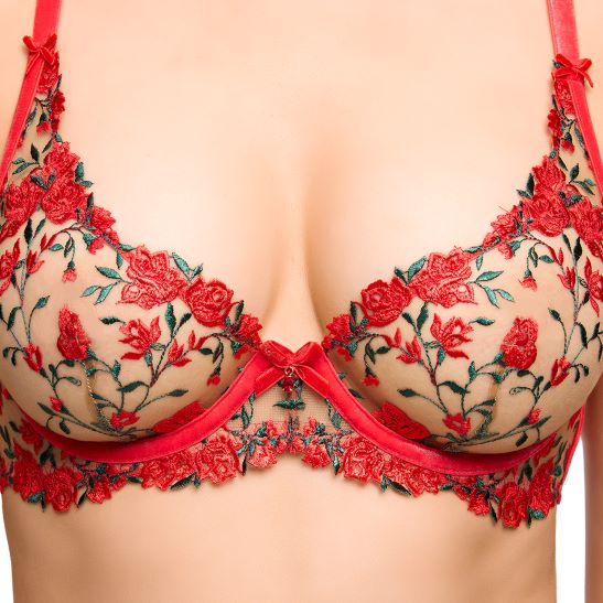 Dita Von Teese Rosewyn Plunge Bra