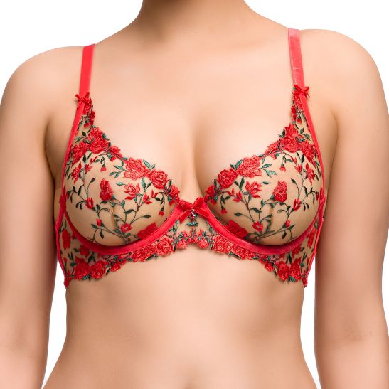 dita von teese Rosewyn Plunge Bra