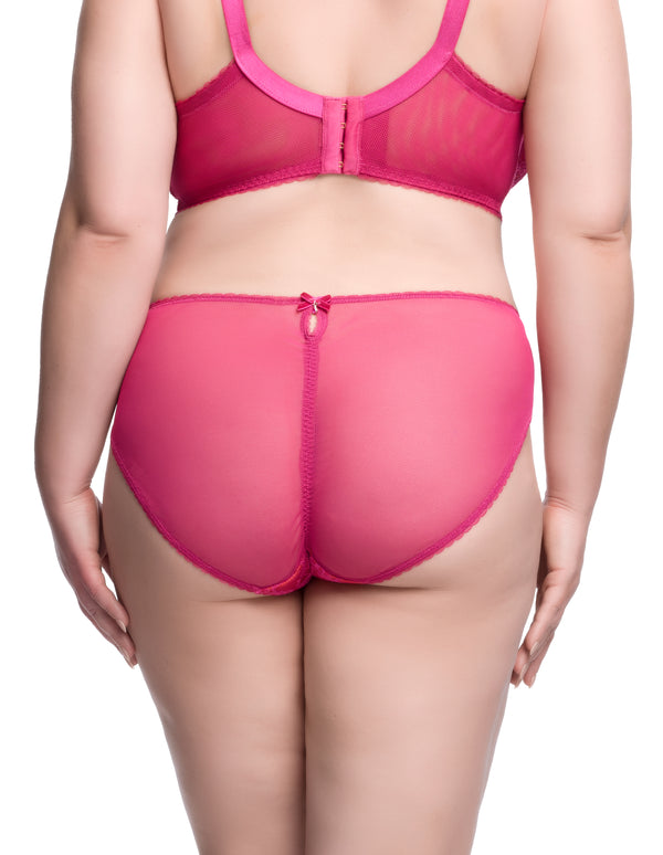 Dita Von Teese Zsa Zsa Hi Cut Brief