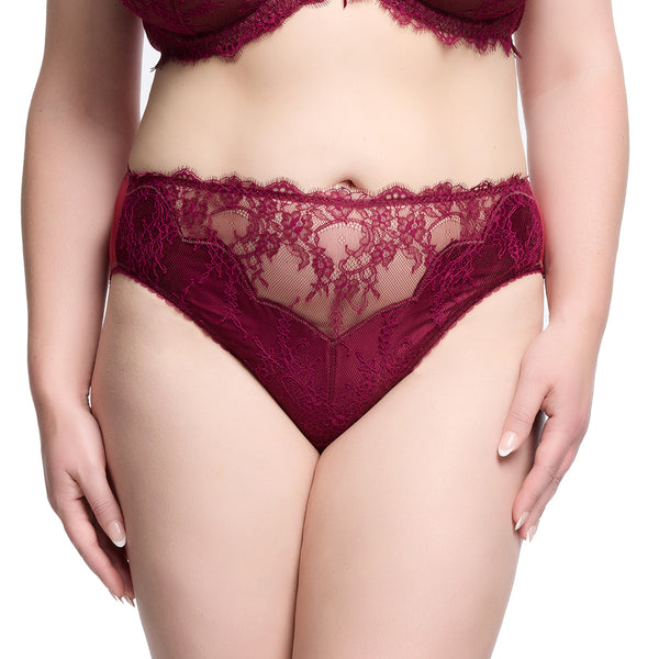 dita von teese Zsa Zsa Hi Cut Brief