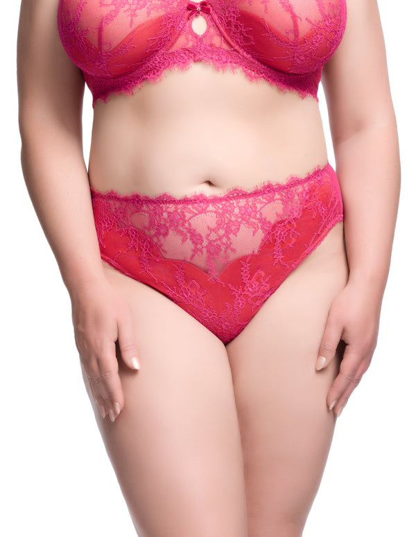 dita von teese Zsa Zsa Hi Cut Brief