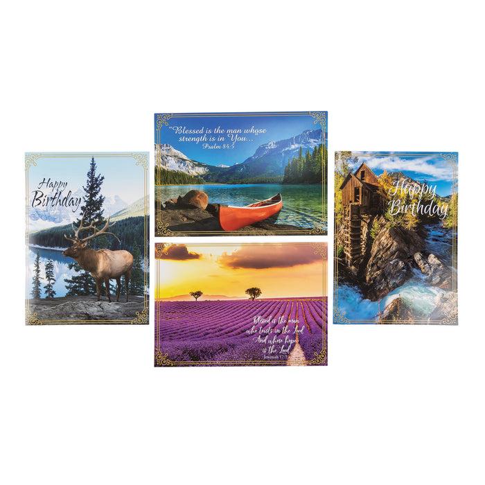 Divinity Boutique Boxed Cards: Birthday For Him Canoe Elk River And Field Assortment