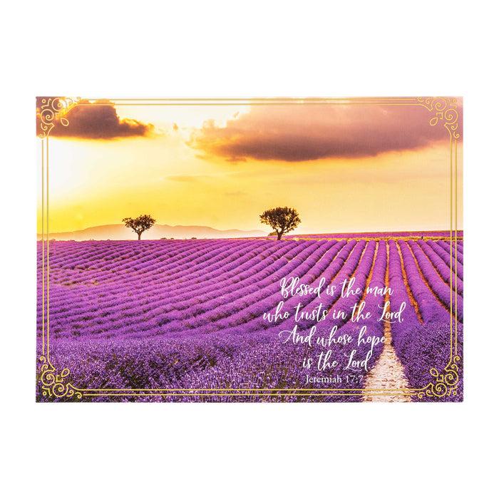 Divinity Boutique Boxed Cards: Birthday For Him Canoe Elk River And Field Assortment