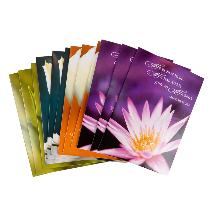 Divinity Boutique Boxed Cards: Easter Spring Flowers