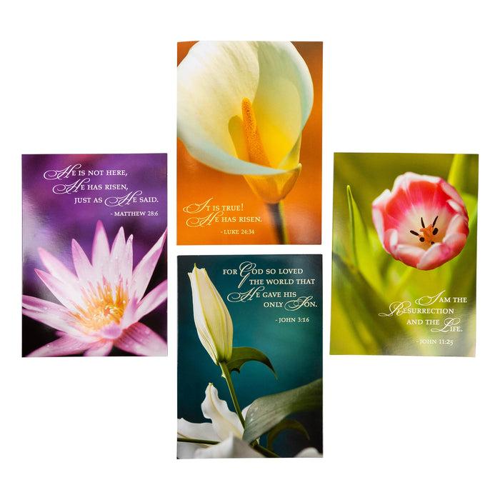 Divinity Boutique Boxed Cards: Easter Spring Flowers