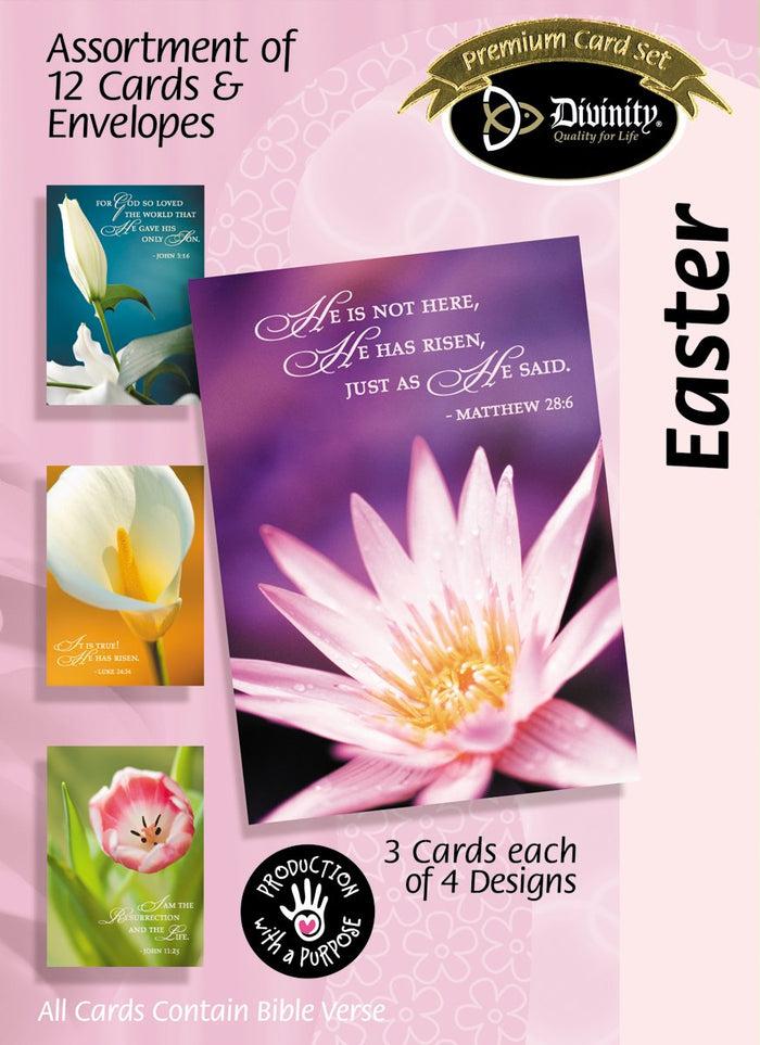 divinity boutique Boxed Cards: Easter Spring Flowers