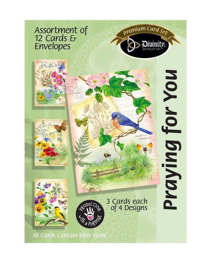 divinity boutique Boxed Greeting Cards - Praying For You Birds - Set of 12 - KJV