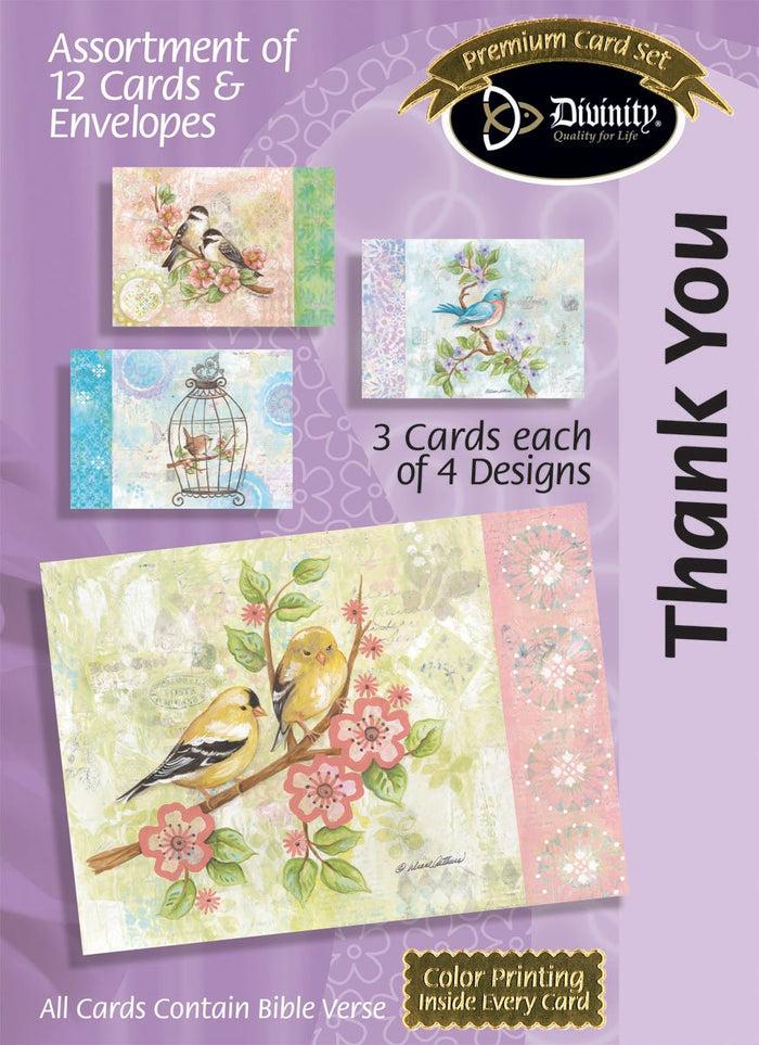 divinity boutique Boxed Thank You Cards - Birds - Set of 12