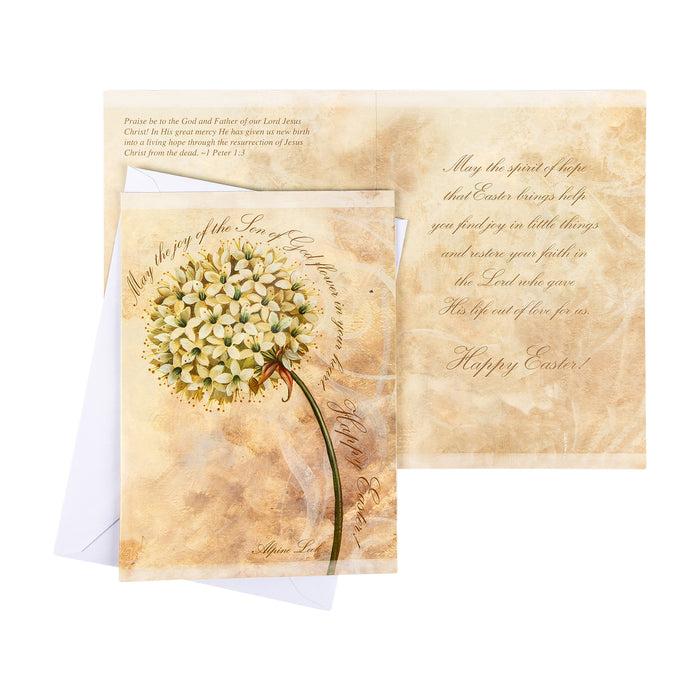 Divinity Boutique Boxed Cards: Easter- Flowers