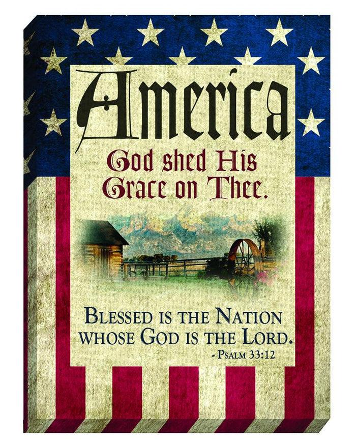 divinity boutique God Bless America: Canvas Magnet