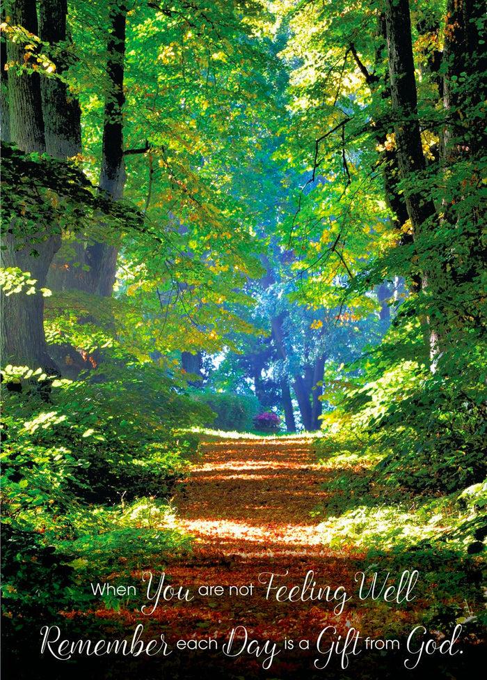 divinity boutique Single Cards: Get Well Forest Path (6 Pack)