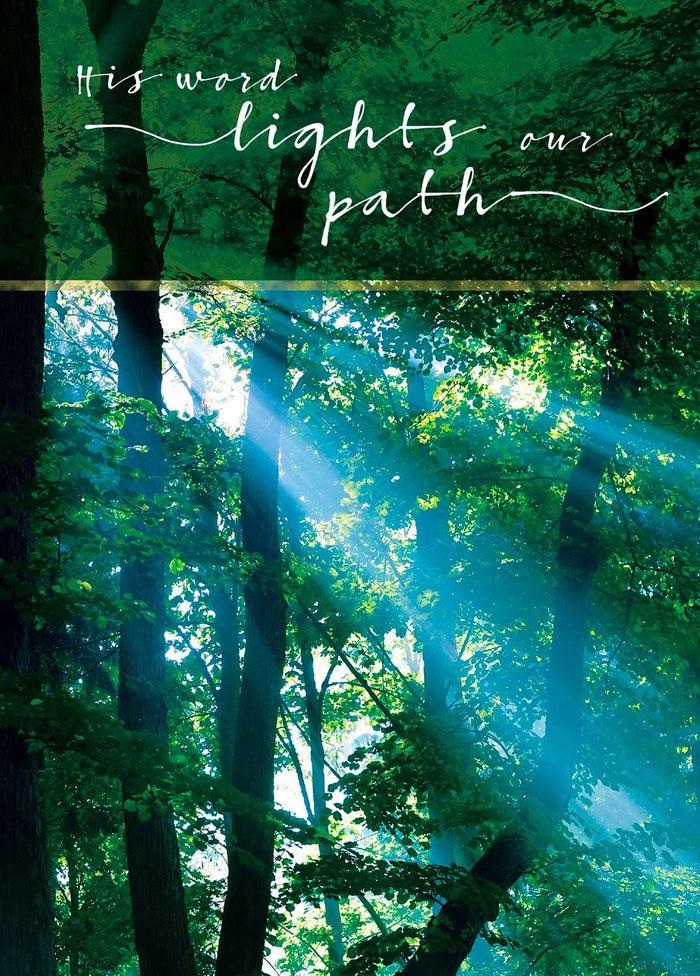 divinity boutique Single Cards: Sympathy Light In Forest (6 Pack)