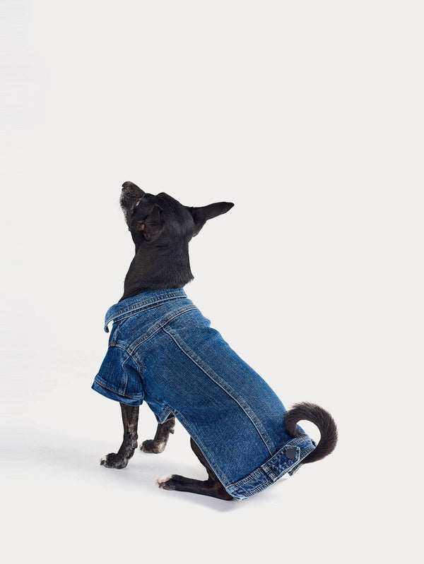 Dl1961 Fido Jacket Canine Trucker Puppy Breath