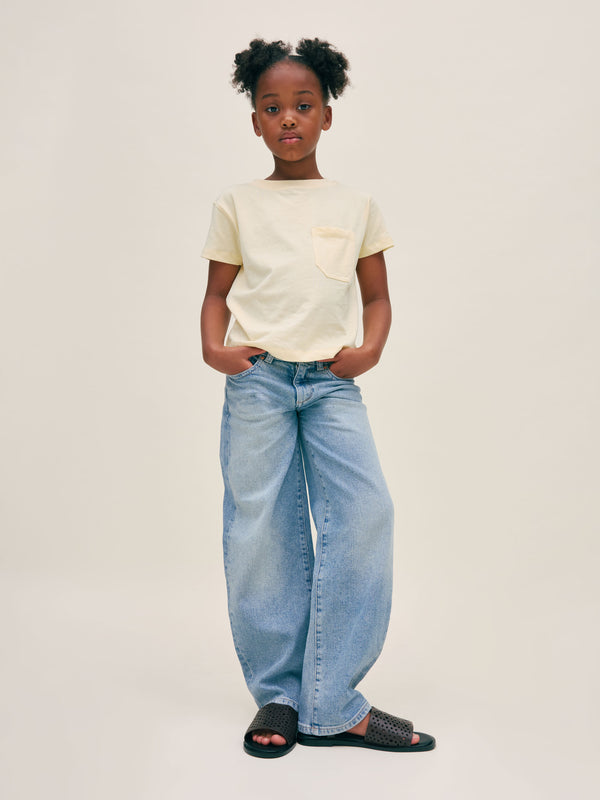 dl1961 Lilia Barrel Lt Island Park