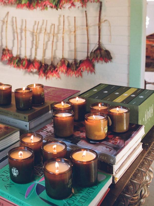 Dl1961 Flamingo Estate Climbing Tuscan Rosemary Candle