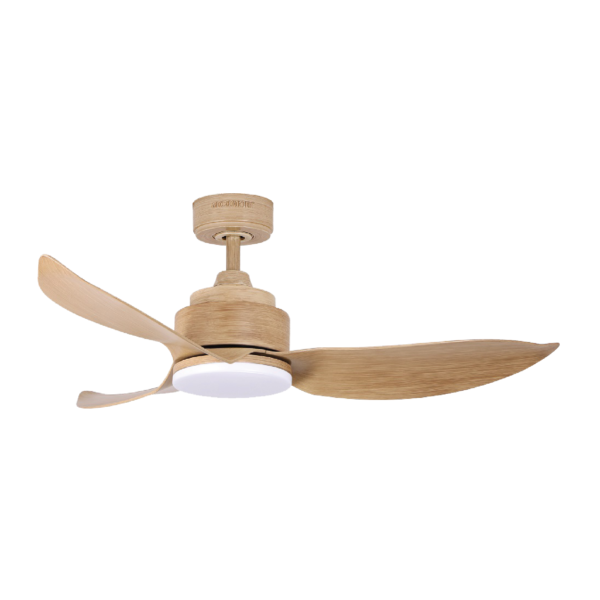 dmora Acorn Fantasia DC-356 with LED Light DC Ceiling Fan ( 36/ 46/ 56 inch )