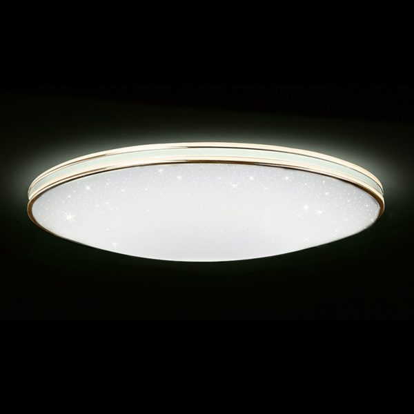 Dmora Dalen Celing Light DL-C102TX SV