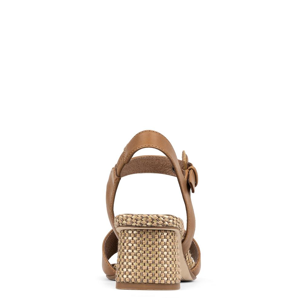 Donald J Pliner AARO Saddle