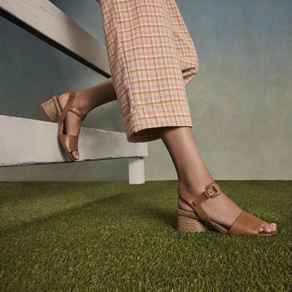 Donald J Pliner AARO Saddle