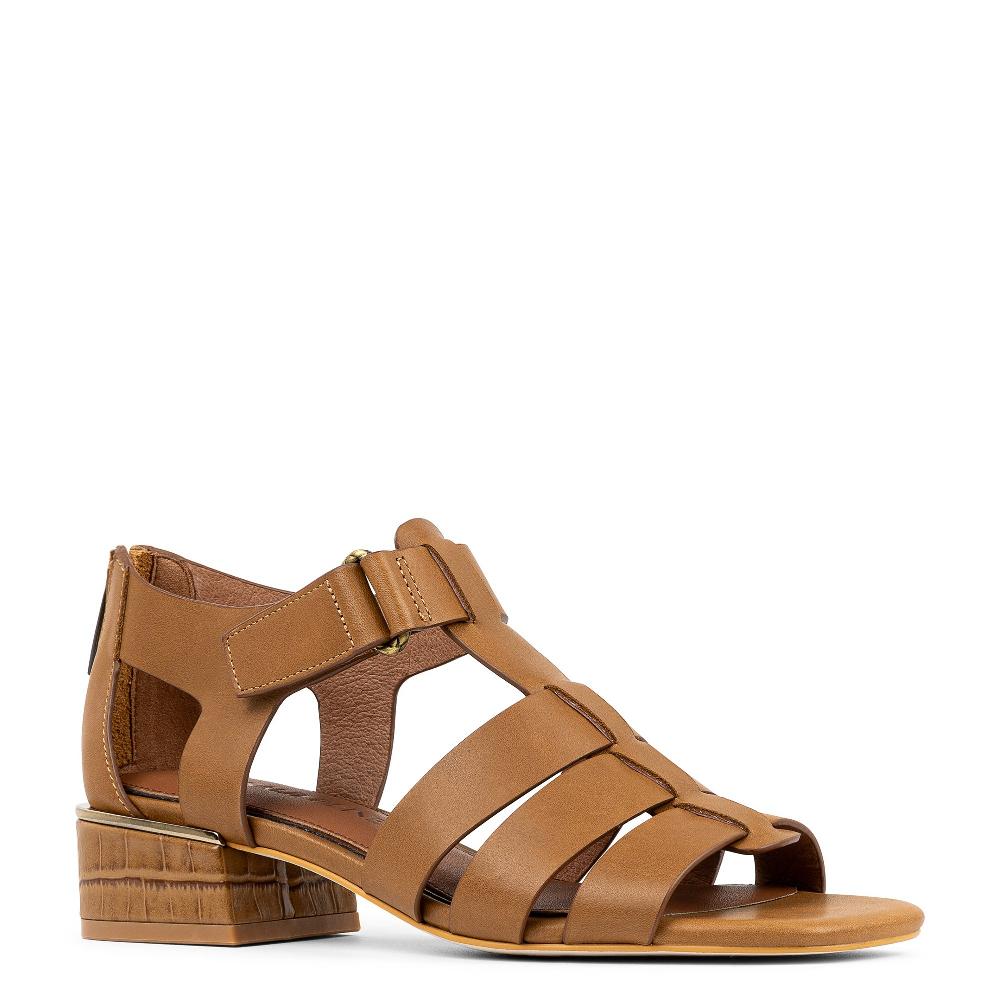 Donald J Pliner FALEISHA Saddle