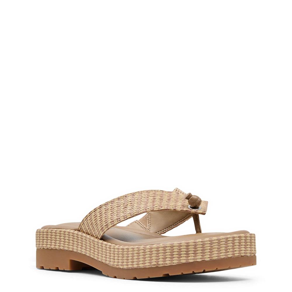 Donald J Pliner SYLVER Tobacco