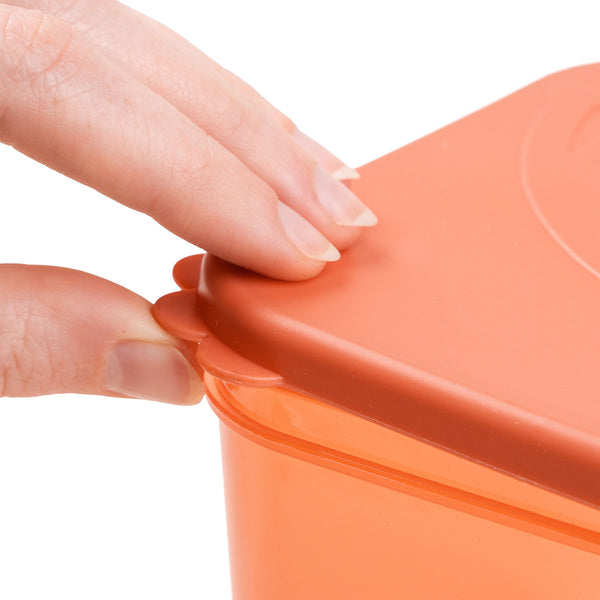 Done By Deer Food Storage Container Set L - Elphee - Papaya