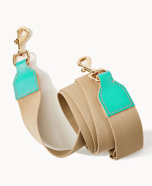 Dooney & Bourke Webbing Strap Aqua